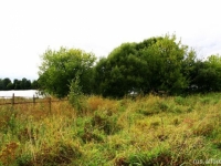 /photos/8102.jpg?w=640&h=480