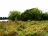 /photos/8107.jpg?w=640&h=480