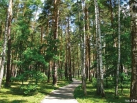 /photos/8170.jpg?w=640&h=480