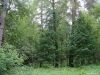 /photos/8173.jpg?w=640&h=480