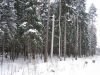 /photos/8174.jpg?w=640&h=480