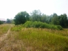 /photos/81833.jpg?w=640&h=480