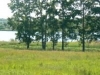 /photos/81992.jpg?w=640&h=480