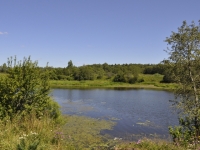 /photos/82071.jpg?w=640&h=480