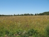 /photos/82073.jpg?w=640&h=480