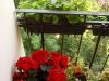 /photos/83248.jpg?w=640&h=480