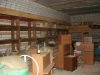 /photos/83774.jpg?w=640&h=480