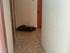 /photos/84162.jpg?w=640&h=480