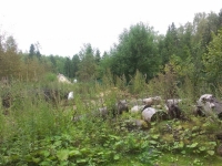 /photos/84214.jpg?w=640&h=480