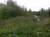 /photos/84219.jpg?w=640&h=480