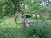 /photos/85893.jpg?w=640&h=480