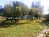 /photos/86497.jpg?w=640&h=480