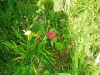 /photos/86728.jpg?w=640&h=480