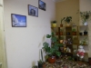 /photos/8694.jpg?w=640&h=480