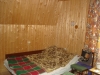 /photos/87102.jpg?w=640&h=480