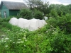 /photos/87351.jpg?w=640&h=480