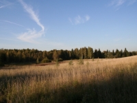 /photos/87651.jpg?w=640&h=480