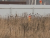 /photos/88010.jpg?w=640&h=480