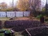 /photos/88371.jpg?w=640&h=480