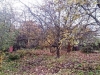 /photos/88372.jpg?w=640&h=480