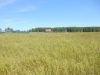 /photos/89129.jpg?w=640&h=480