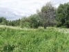 /photos/89442.jpg?w=640&h=480
