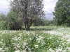 /photos/89443.jpg?w=640&h=480
