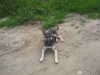 /photos/89821.jpg?w=640&h=480