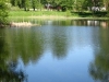 /photos/89850.jpg?w=640&h=480