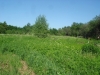/photos/89852.jpg?w=640&h=480