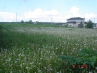 /photos/89867.jpg?w=640&h=480