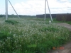 /photos/89869.jpg?w=640&h=480