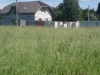 /photos/89877.jpg?w=640&h=480
