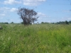 /photos/89882.jpg?w=640&h=480