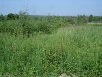 /photos/89883.jpg?w=640&h=480