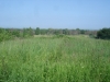 /photos/89885.jpg?w=640&h=480