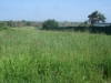 /photos/89887.jpg?w=640&h=480