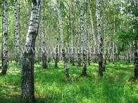 /photos/89915.jpg?w=640&h=480