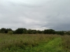 /photos/90036.jpg?w=640&h=480