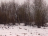 /photos/90071.jpg?w=640&h=480