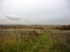 /photos/91281.jpg?w=640&h=480