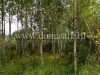 /photos/91660.jpg?w=640&h=480