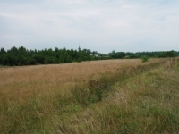 /photos/92252.jpg?w=640&h=480