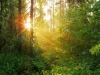 /photos/92473.jpg?w=640&h=480