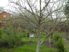 /photos/92648.jpg?w=640&h=480