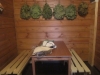 /photos/92740.jpg?w=640&h=480