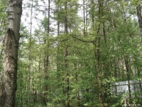/photos/9307.jpg?w=640&h=480