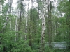 /photos/9308.jpg?w=640&h=480