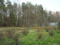 /photos/9309.jpg?w=640&h=480