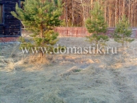 /photos/9368.jpg?w=640&h=480